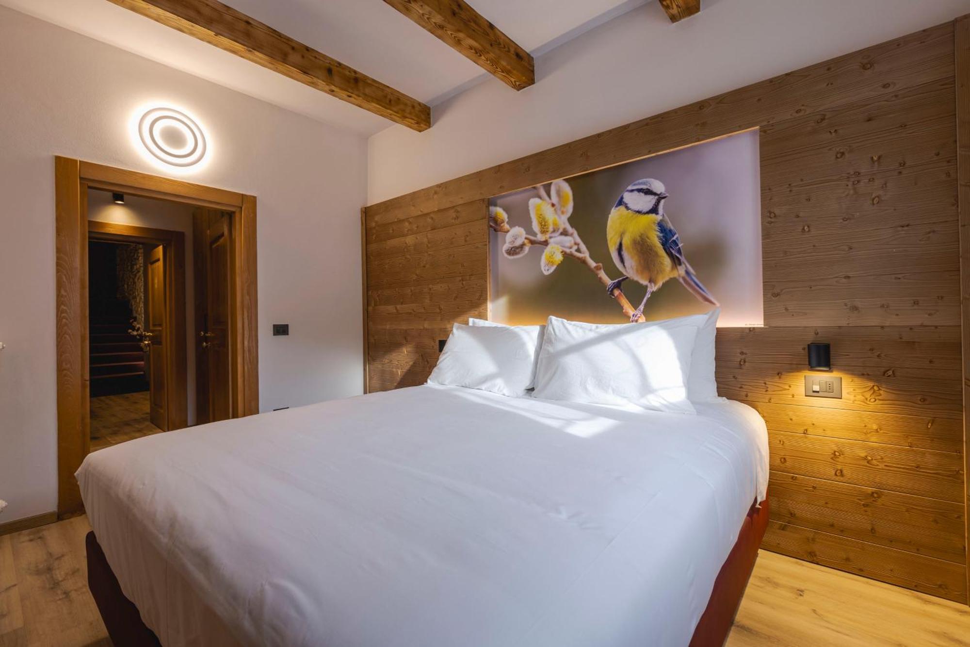 Granduca Mountain Wellness Apartments Campigna Zewnętrze zdjęcie