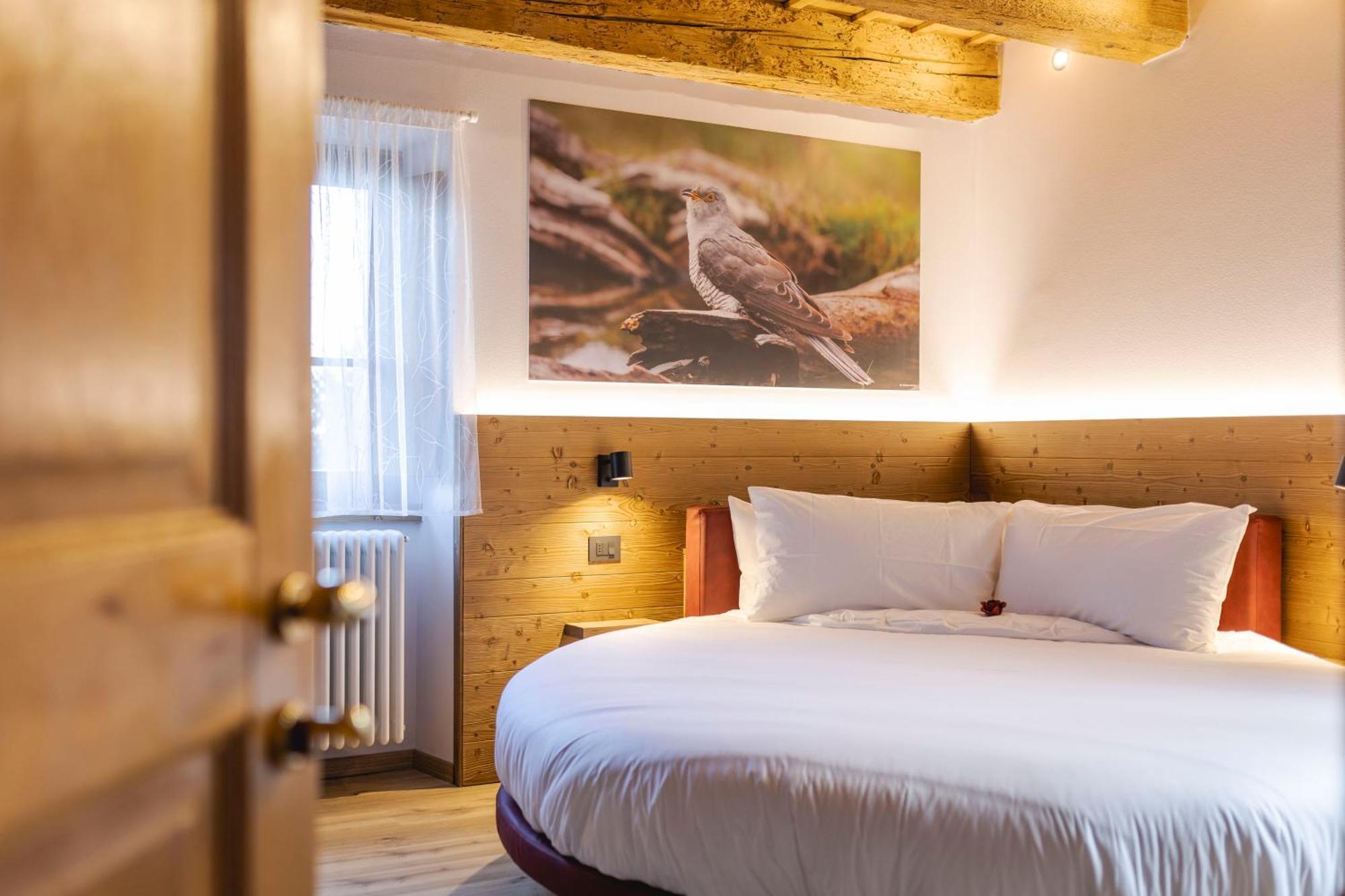 Granduca Mountain Wellness Apartments Campigna Zewnętrze zdjęcie